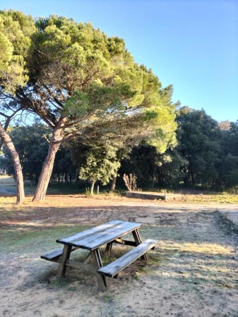 Les Salines Boyardville - Appart'Hotel Saint-Pierre-d'Oleron Eksteriør bilde