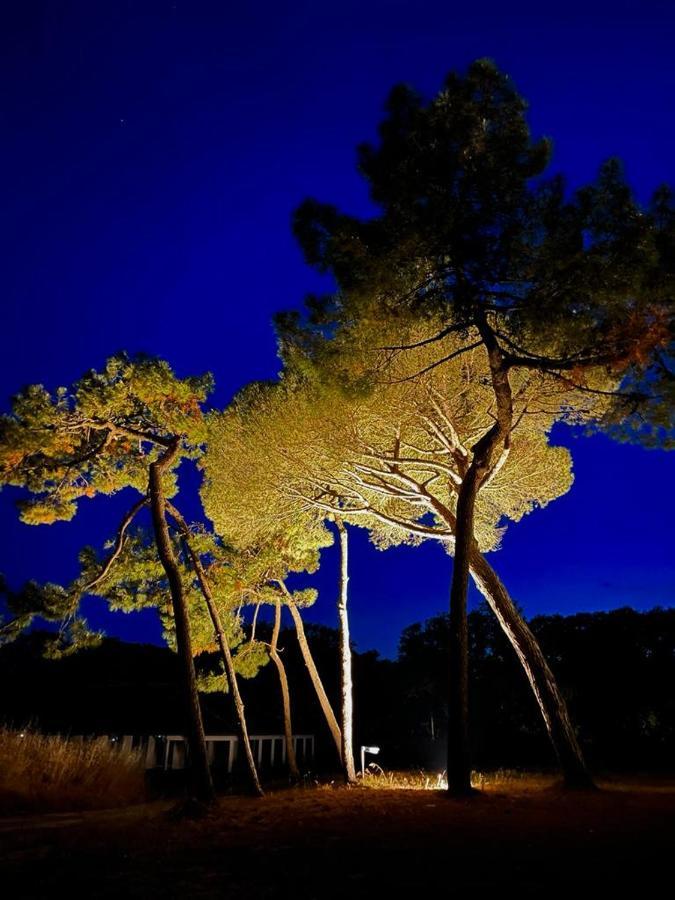 Les Salines Boyardville - Appart'Hotel Saint-Pierre-d'Oleron Eksteriør bilde