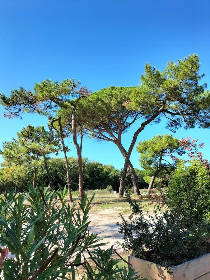 Les Salines Boyardville - Appart'Hotel Saint-Pierre-d'Oleron Eksteriør bilde